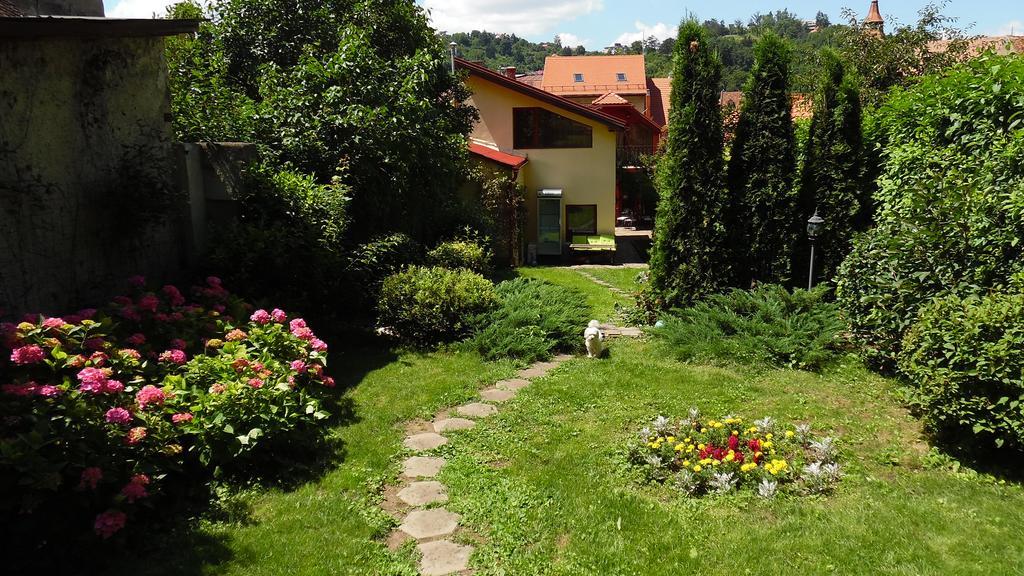 Villa Doly House Brașov Exterior foto